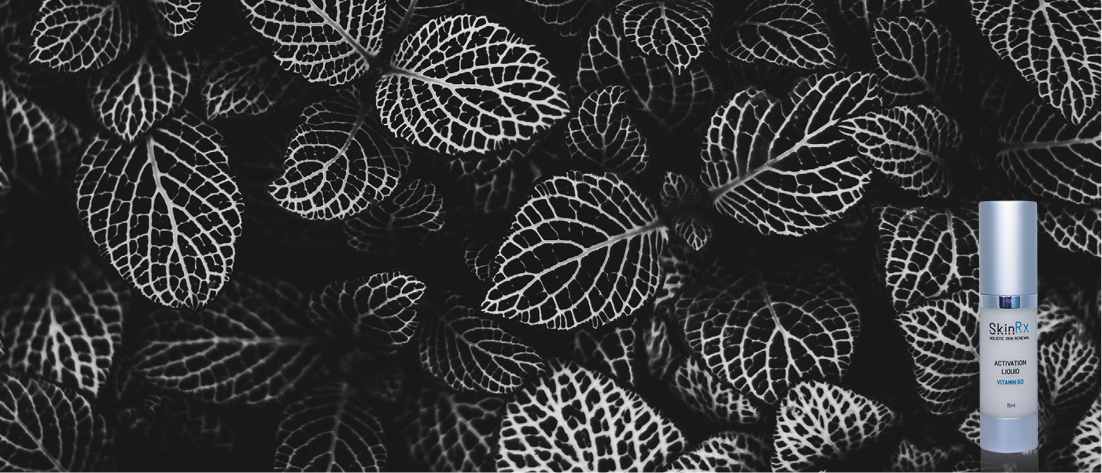 Activation Liquid - Vitamin B3